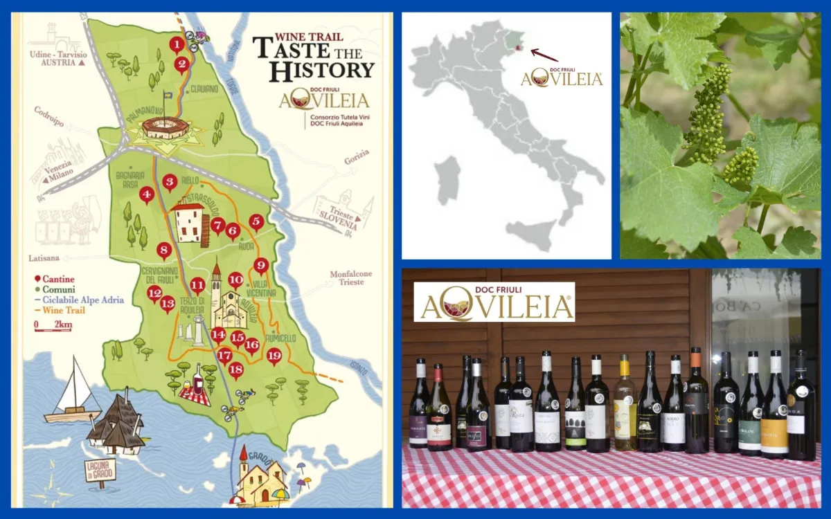 Consorzio DOC Friuli Aquileia – Botschafter exzellenter Weintradition (© Consorzio DOC Friuli Aquileia)