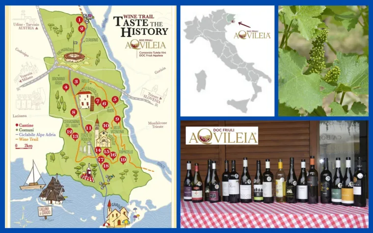 DOC Friuli Aquileia – Wo Wein Geschichte schreibt Bild: DOC Friuli Aquileia – Wo Wein Geschichte schreibt