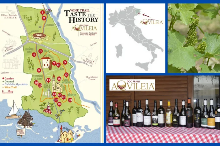 DOC Friuli Aquileia – Wo Wein Geschichte schreibt Bild: DOC Friuli Aquileia – Wo Wein Geschichte schreibt