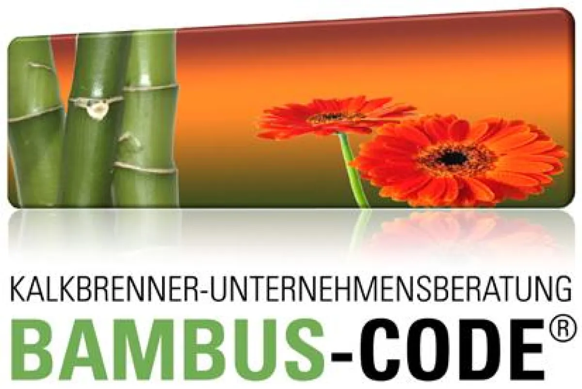 Strategieentwicklung mit dem Bambus-Code