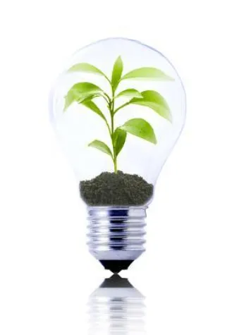 Bild: Forstinvestment - Der Baumsparvertrag