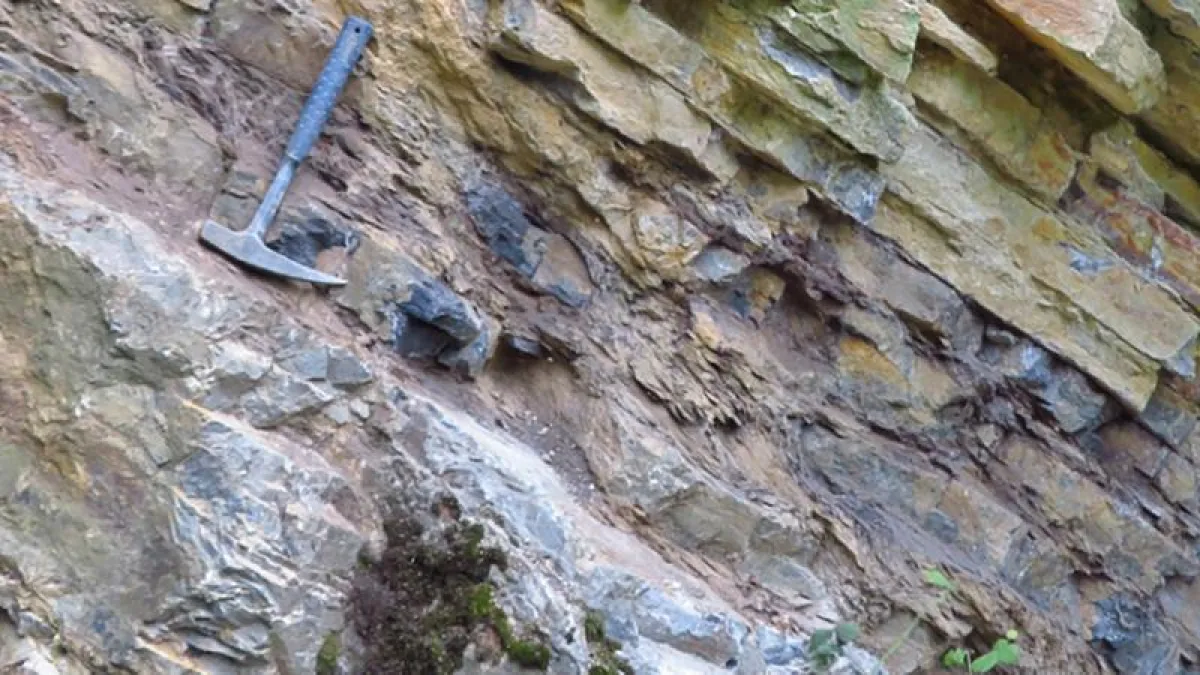 Der geologische Ausdruck des spätdevonischen Massensterbens in Deutschland. Die Massenausrottung wird durch eine Schicht Schwarzschiefer sichtbar, die die Abfolge der Kalksteinschichten unterbricht. (