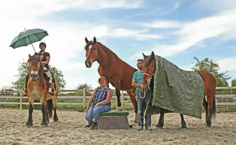 2,4to Gute Laune zu Besuch in Hessen Bild: 2,4to Gute Laune zu Besuch in Hessen