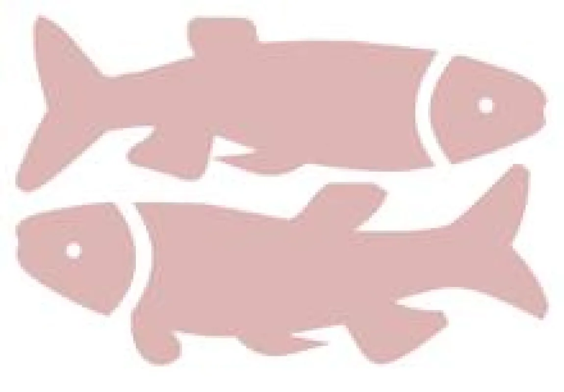 Welcher Partner für die Fische? datechecker.de weiß die Antwort!