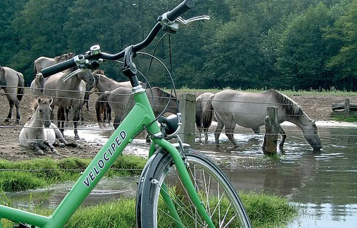 Münsterland Radtour
