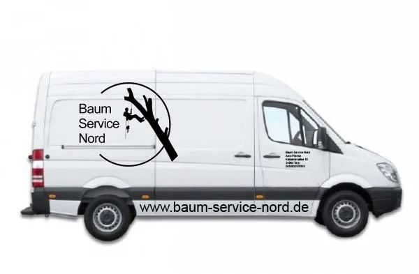 Bild: Baum-Service-Nord stellt neues Abseilgerät vor