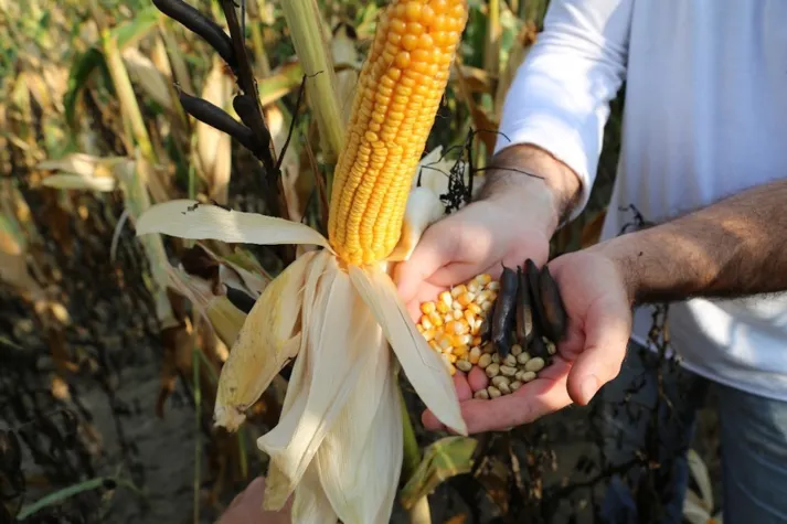 Bild: Die Lösung für staunasse Flächen unter Berücksichtigung der GAP 2023