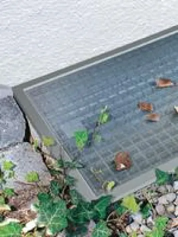 Bild: Die Jahreszeit der fallenden Blätter bricht an - Kellerschächte sind Sammelbecken