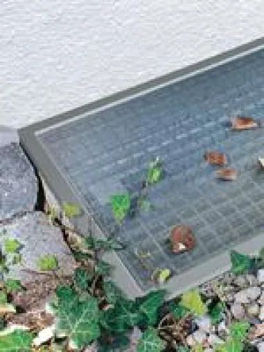 Die Jahreszeit der fallenden Blätter bricht an - Kellerschächte sind Sammelbecken Bild: Die Jahreszeit der fallenden Blätter bricht an - Kellerschächte sind Sammelbecken
