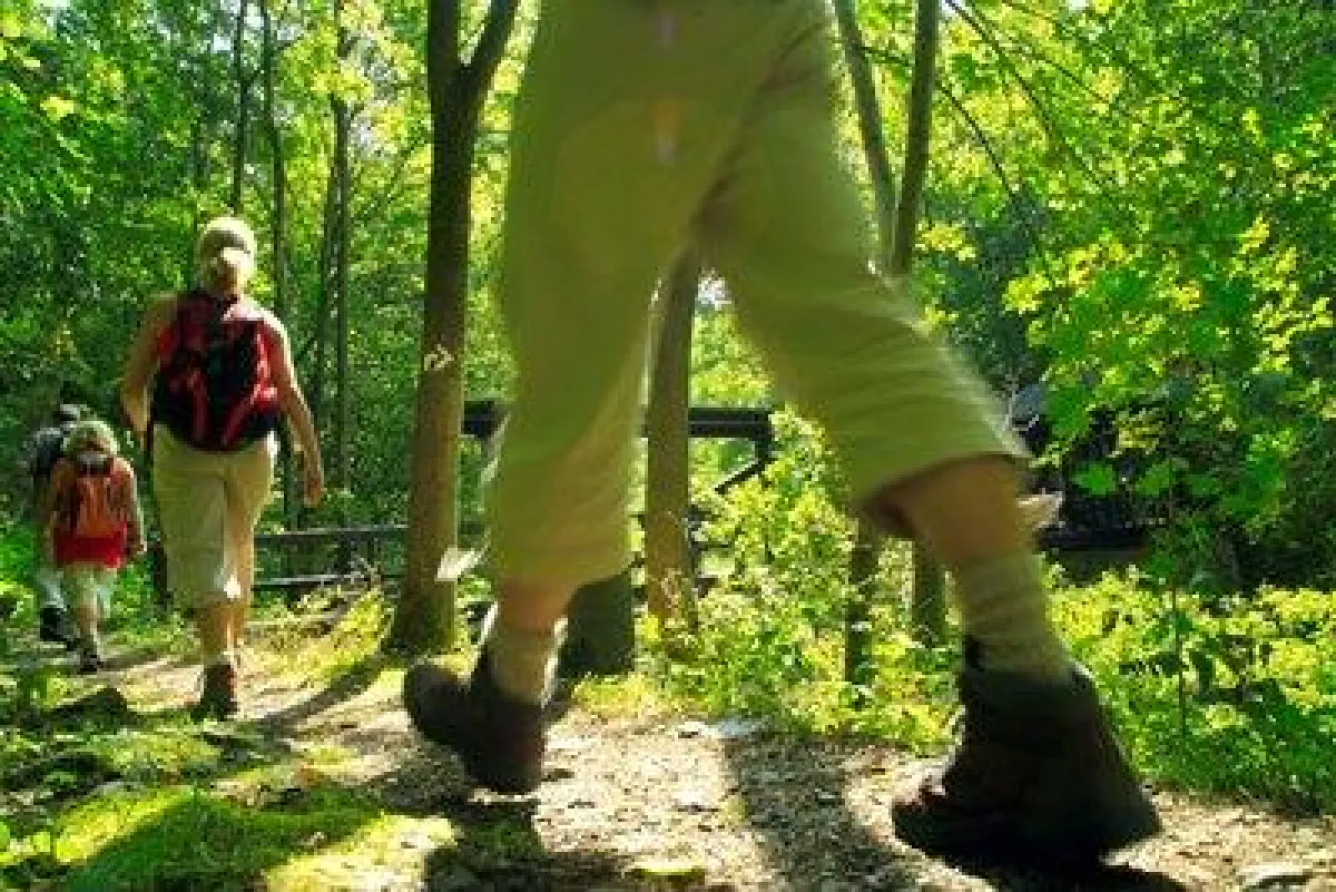 Naturpark Frankenwald: Drehkreuz des Wanderns bietet Urlaubern mobilen Tourguide