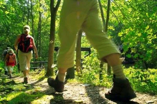 Bild: NEU - Das Handy als Reiseführer im Naturpark Frankenwald