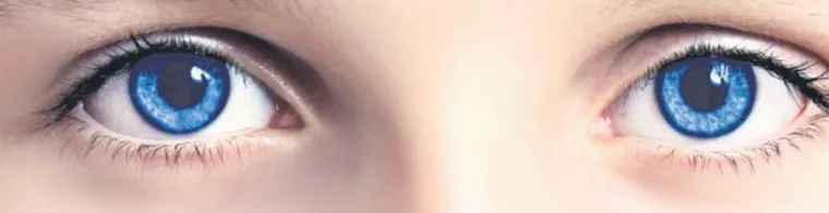 Bild: Unseriöse Branchenbücher? Es geht auch anders.