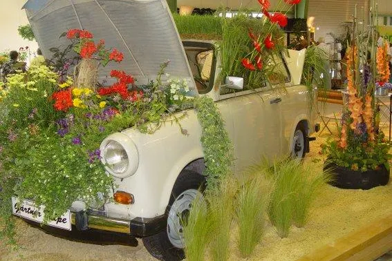 Bild: Neue Hallenschau – Flower Power begeistert die Besucher auf der Landesgartenschau Wernigerode
