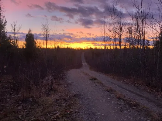 Bild: Golden Cariboo legt Explorationsplan für Goldliegenschaft QGQ vor