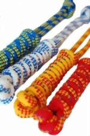 Soziales Engagement bei fashydogs.de – Spielend Gutes tun Bild: Soziales Engagement bei fashydogs.de – Spielend Gutes tun