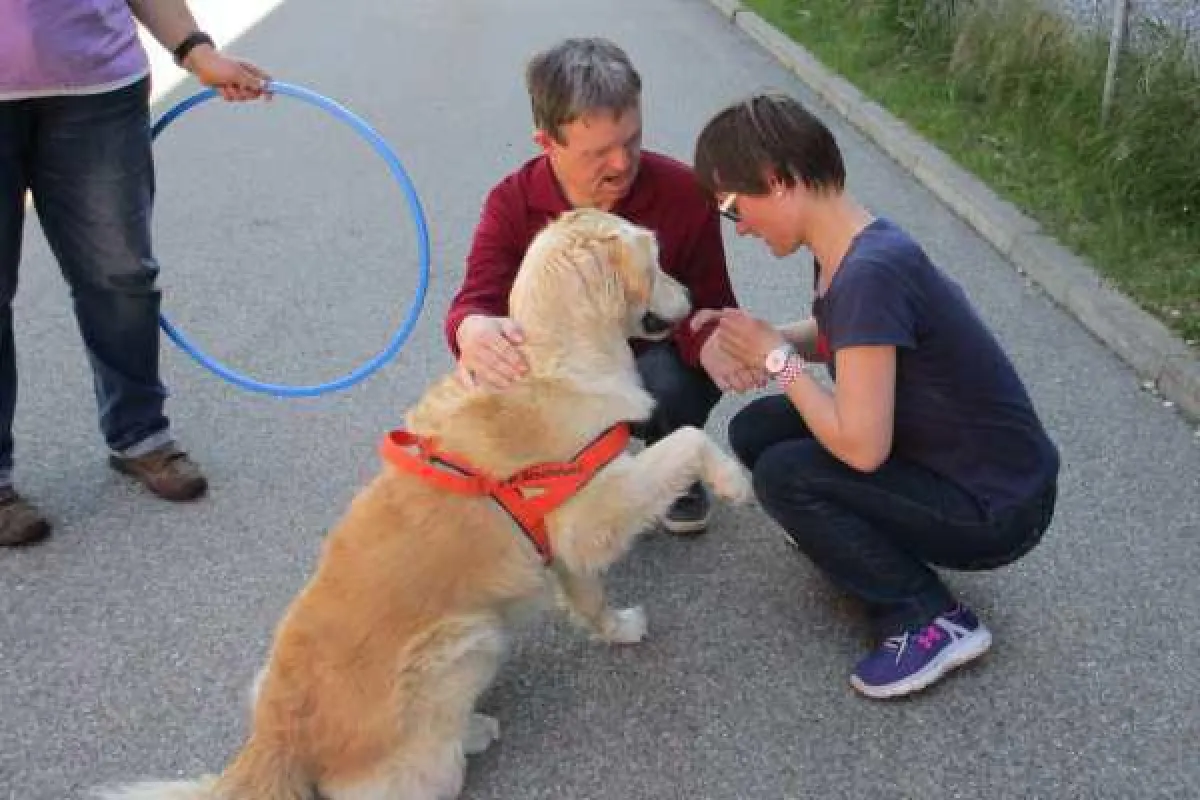 Keine Berührungsängste hatten die Fortbildungsteilnehmer des AIP mit den Therapiehunden.