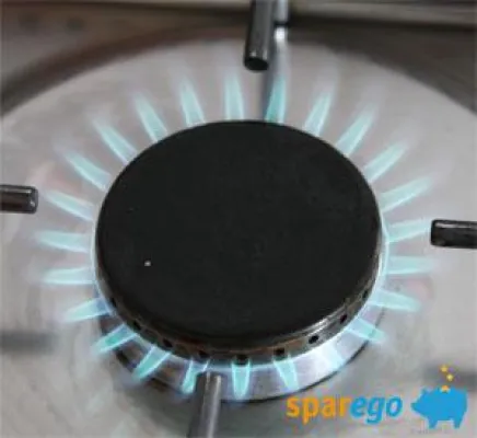 Warum wieder 8% mehr für Gas bezahlen? Bild: Warum wieder 8% mehr für Gas bezahlen?