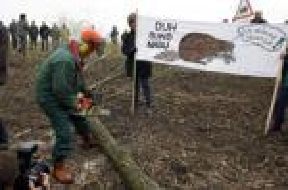 Umweltminister mit der Kettensäge