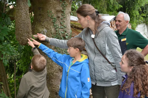 Gute Honigernte und viele Veranstaltungen zum Tag der deutschen Imkerei Bild: Gute Honigernte und viele Veranstaltungen zum Tag der deutschen Imkerei