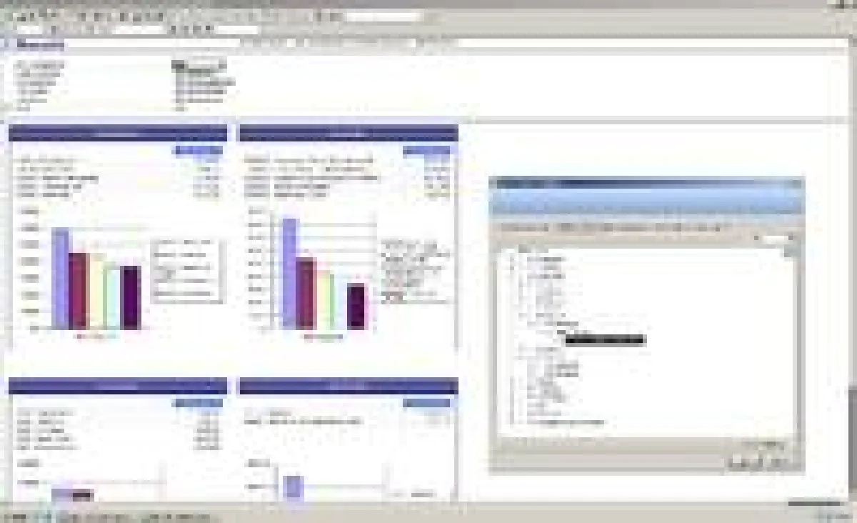 SAGE Software
