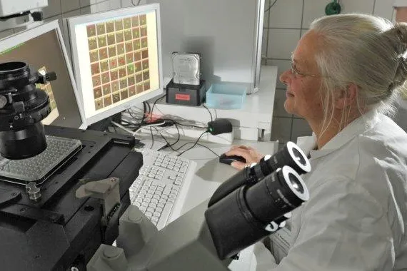 Krebsmedikamente auf Wirksamkeit prüfen Bild: Krebsmedikamente auf Wirksamkeit prüfen
