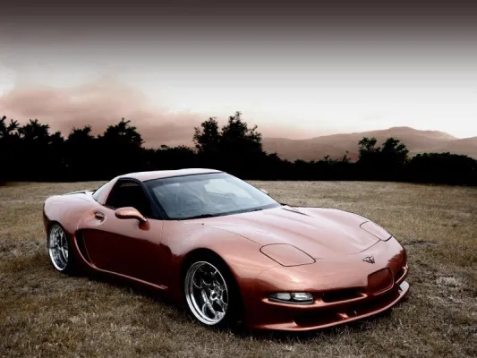 Bild: WITTERA Corvette C5 Coupe und Cabrio