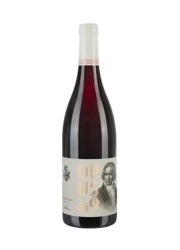 Bild: Familientradition für kulturelles Erbe Beethovens: Weingut Freiherr v. Gleichenstein - neue Beethoven-Weine