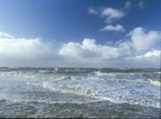 Bild: Gesundheit aus dem Meer