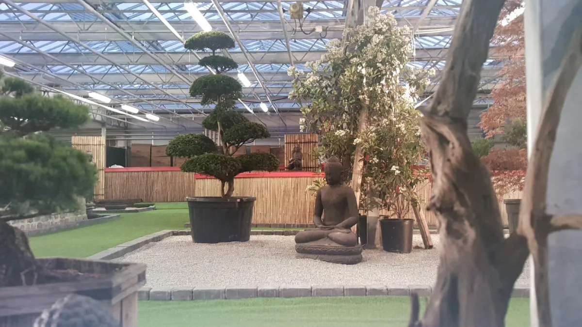 Das Koicenter Thuine hält über 1500 Tiere für die Kundschaft bereit.