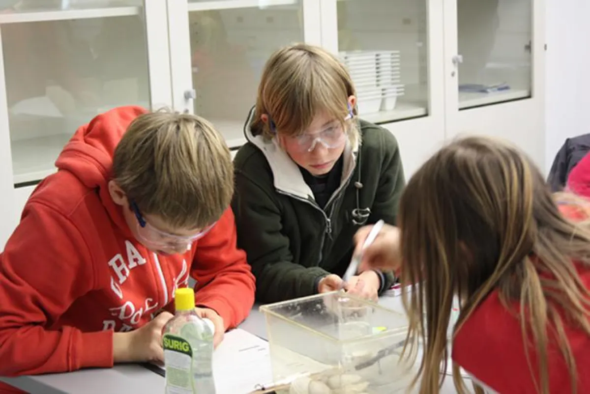 Teilnehmer der Insel-Uni bei Laborversuch