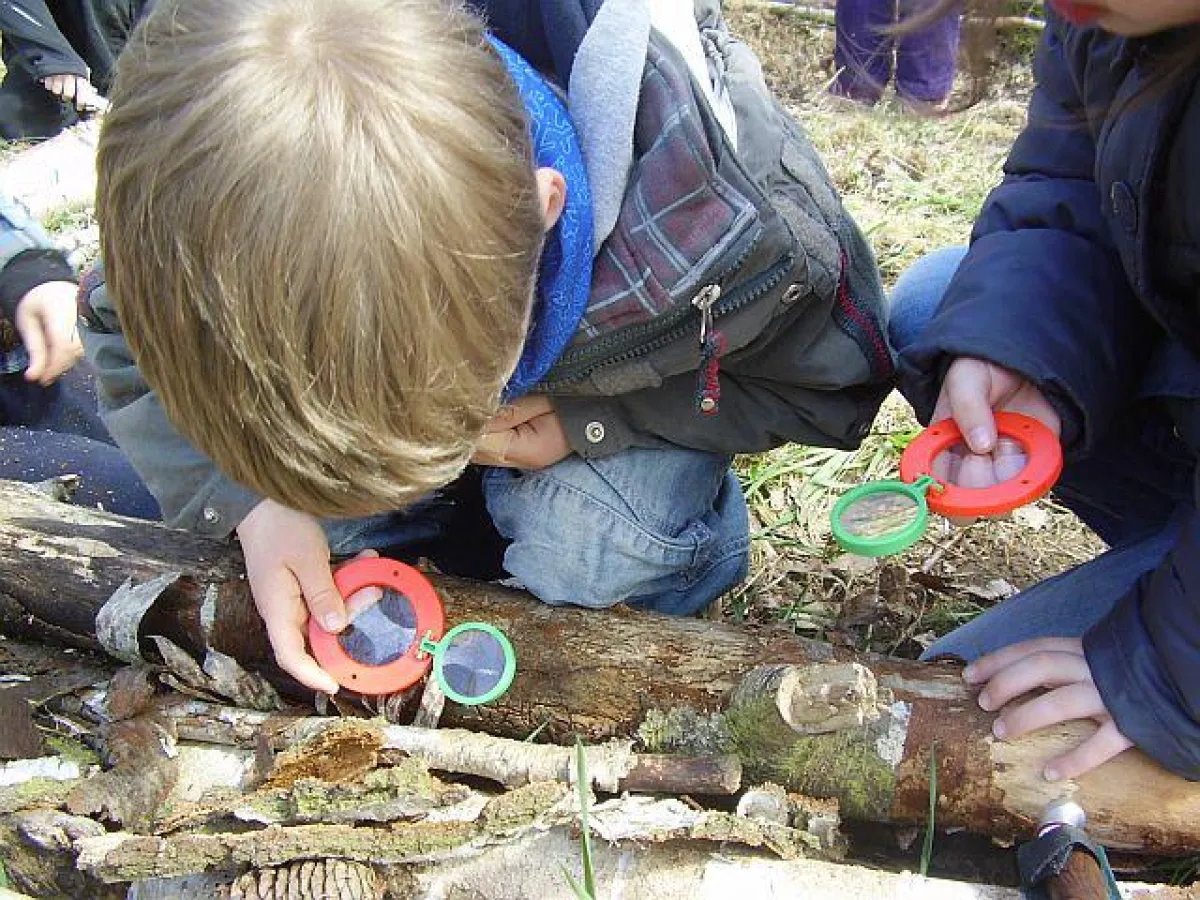 Natur erleben hautnah