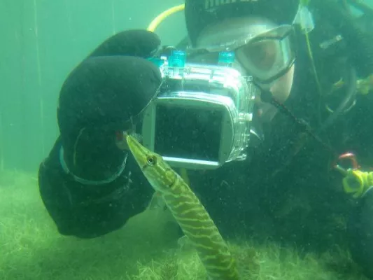 Bild: Neue Pflanzen und Algen in der Müritz entdeckt