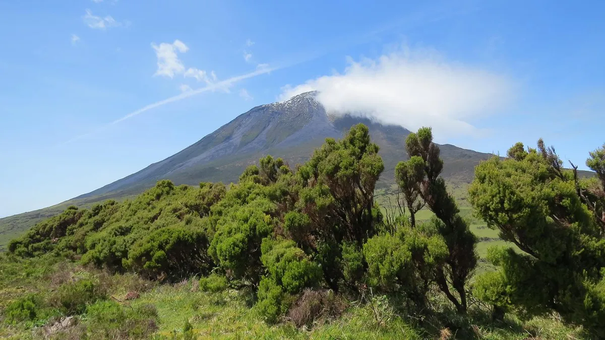 Die Azoren haben viele Naturhighlights zu bieten.