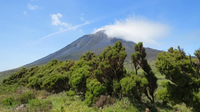 Bild: Reif für die Inseln