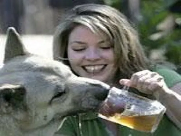 Bild: Hondenbier - Hundebier für den vierbeinigen Freund