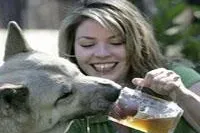 Bild: Hondenbier - Hundebier für den vierbeinigen Freund