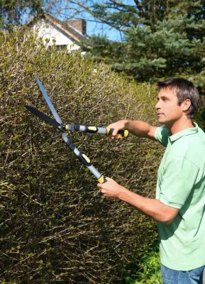 Bild: Garten - Fit für den Winter