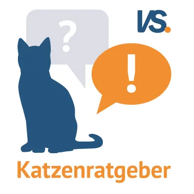 Bild: Alles für die Katz‘: der VS. Katzenratgeber – jetzt neu bei vs vergleichen-und-sparen.de