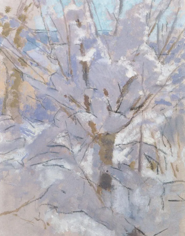 Sabine Curio: Mandelbäumchen im Winter