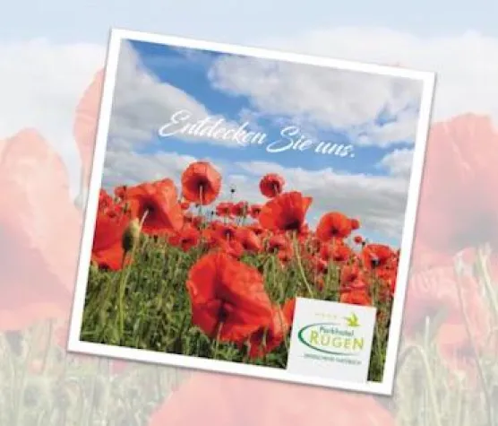 Bild: Events erleben, Natur entdecken, Auszeit genießen: Parkhotel Rügen veröffentlicht neuen Hotelkatalog