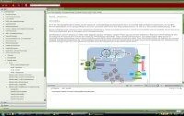 Bild: Osteoporosetherapie: Warum Kalzium nur das A und nicht das O ist