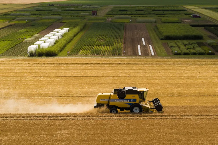 Land-Degradierung reduziert Ernteerträge deutlich Bild: Land-Degradierung reduziert Ernteerträge deutlich