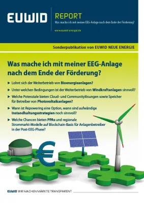Bild: EEG-Förderung: Neuer Report informiert über Optionen in der Post-EEG-Zeit