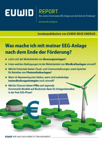 Bild: EEG-Förderung: Neuer Report informiert über Optionen in der Post-EEG-Zeit
