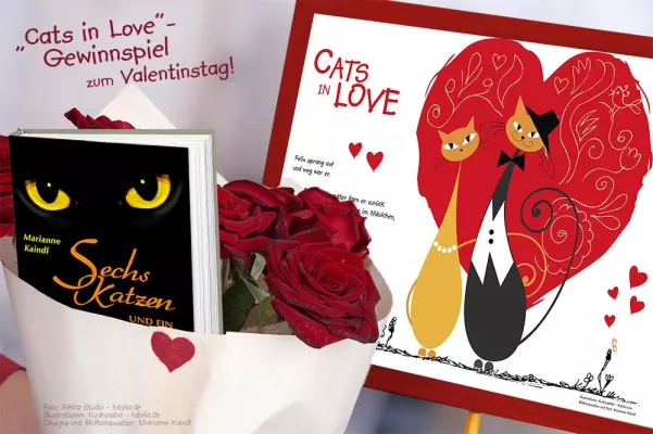 Bild: „Cats in Love“-Verlosung zum Valentinstag