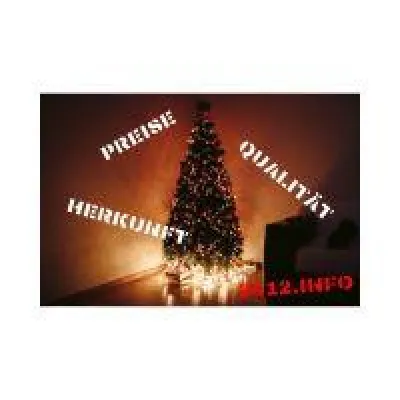 Bild: Preise, Qualität & Haltbarkeit: echte Weihnachtsbäume kaufen
