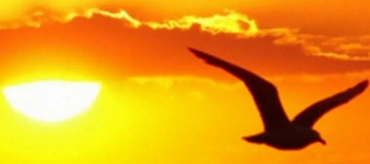 Bild: Lyrik-Literaturwettbewerb: Spirituelle Gedichte und Nahtod