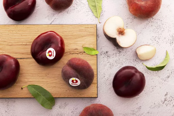 Ondine Flachnektarinen: Göttlich schön und ewig jung Bild: Ondine Flachnektarinen: Göttlich schön und ewig jung