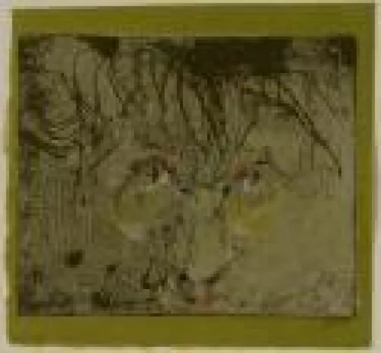 Horst Janssen-Ausstellung in Überlingen Bild: Horst Janssen-Ausstellung in Überlingen