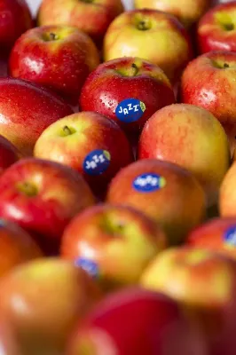 Bild: Extraportion Vitamine für alle Teilnehmer des Berliner Halbmarathons: JAZZ™ verteilt mehr als 30.000 Äpfel